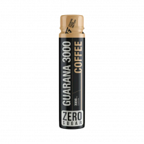 Fitness Food Factory Guarana 3000, 110 мл